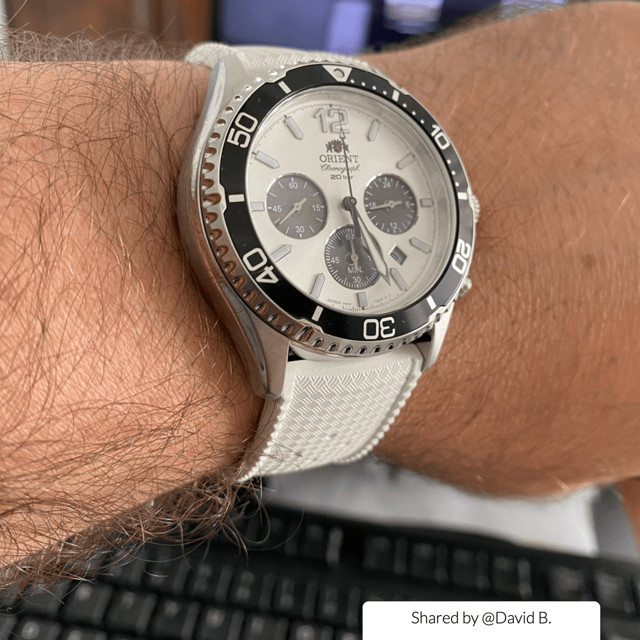 Premium-Grade Tropic Rubber Watch Strap with Quick-Release - watchband.direct