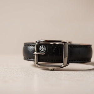 Guide de compatibilité des bracelets de montre Alpina | watchband.direct