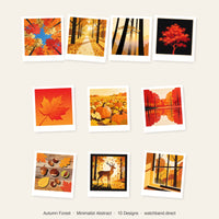 Thumbnail for Autumn Forest Apple Watch Wallpapers - Minimalist Bundle