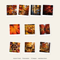 Thumbnail for Autumn Forest Apple Watch Wallpapers - Photorealistic Bundle