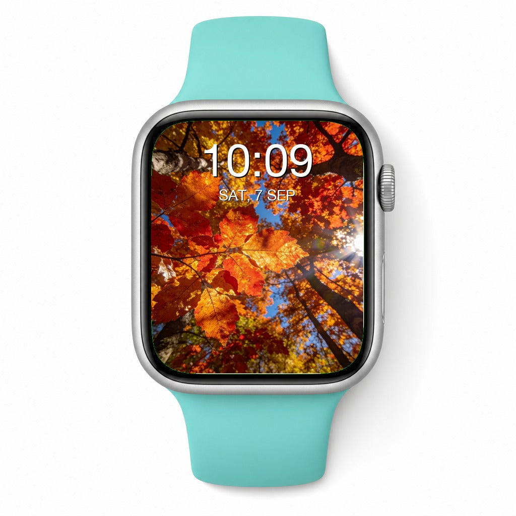 Autumn Forest Apple Watch Wallpapers - Photorealistic Bundle