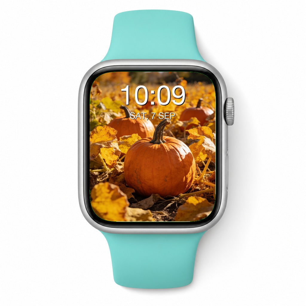 Autumn Forest Apple Watch Wallpapers - Photorealistic Bundle
