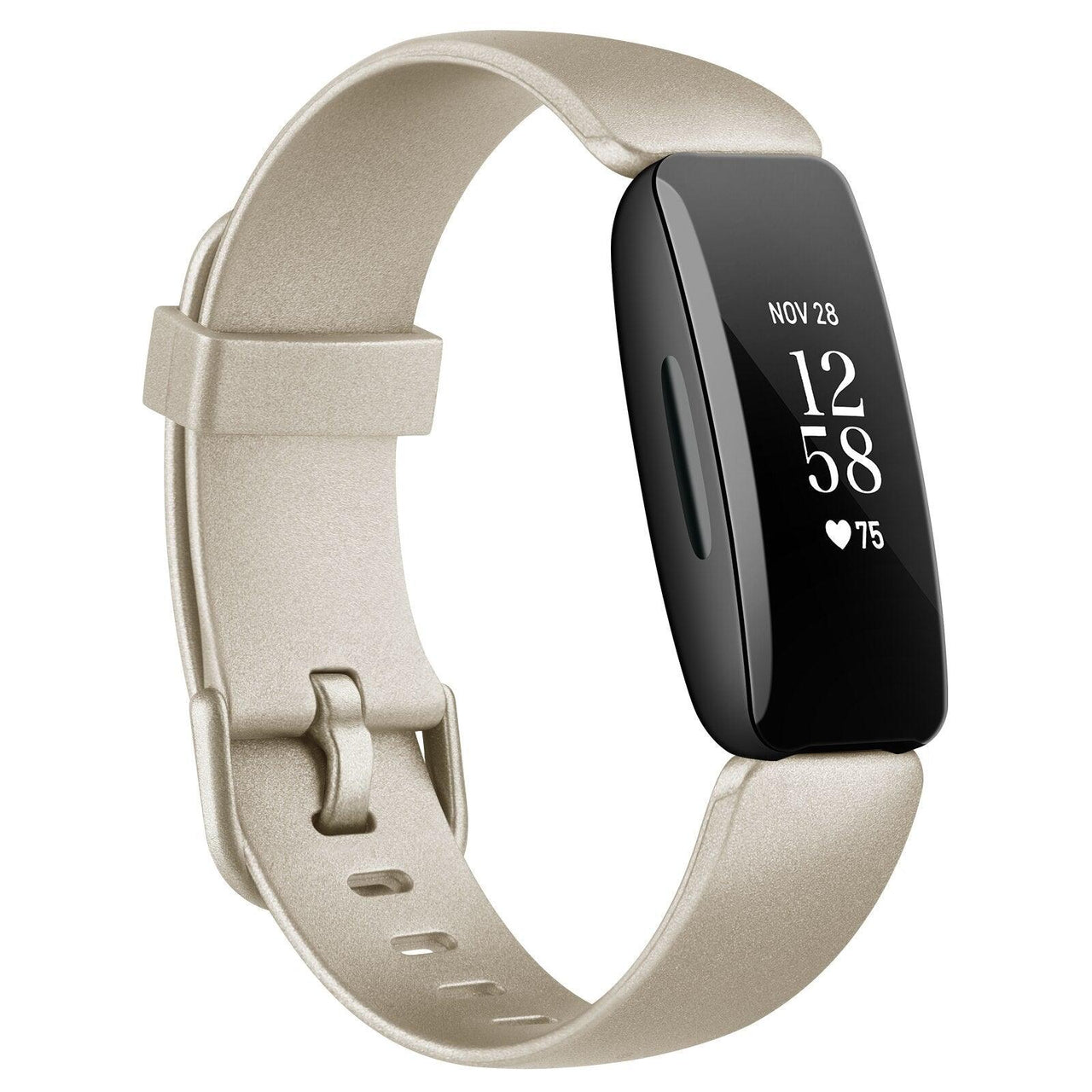 Fitbit Inspire 2 Sports Band - watchband.direct