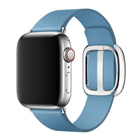 Thumbnail for Modern Sleek Leather Apple Watch Strap - watchband.direct